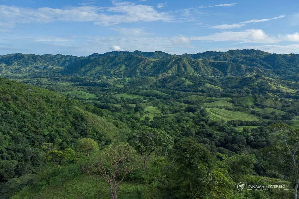 Land in Cambutal - photo 2