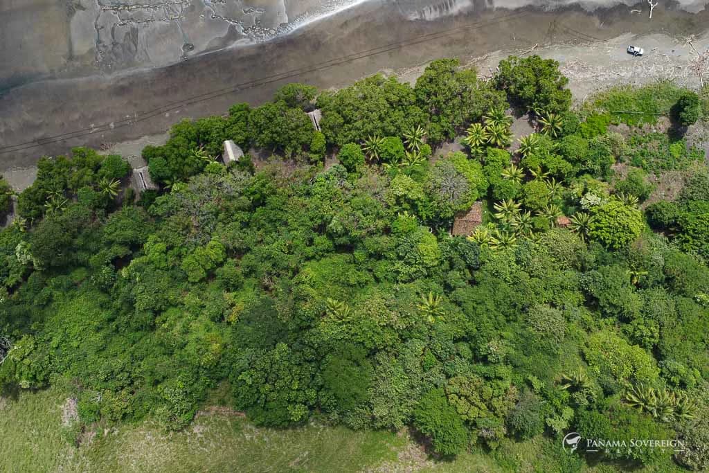Land in Guanico - photo 12