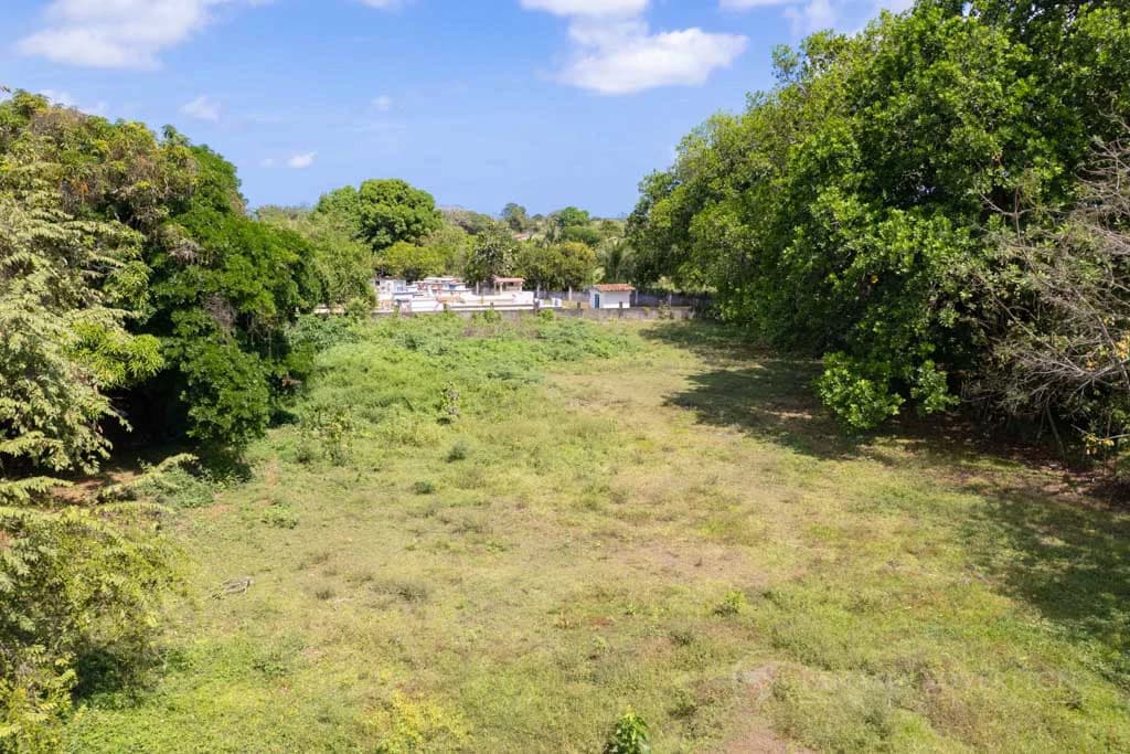 Land in Pedasi - photo 10