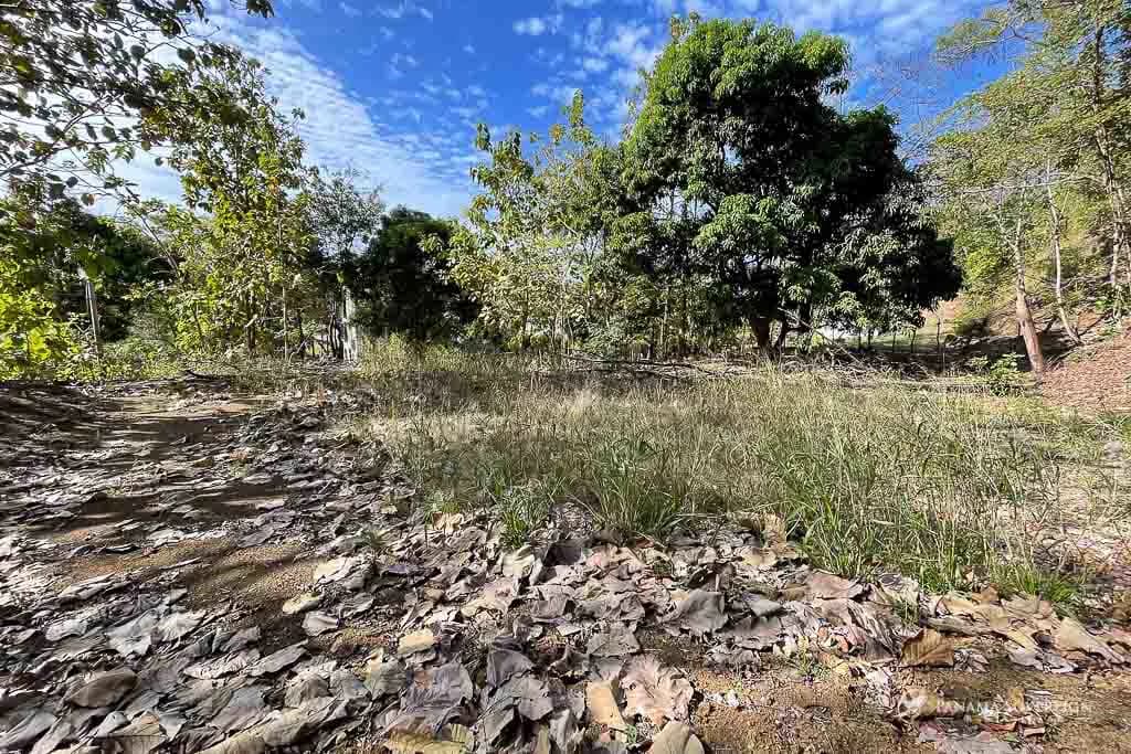 Land in Cambutal - photo 11