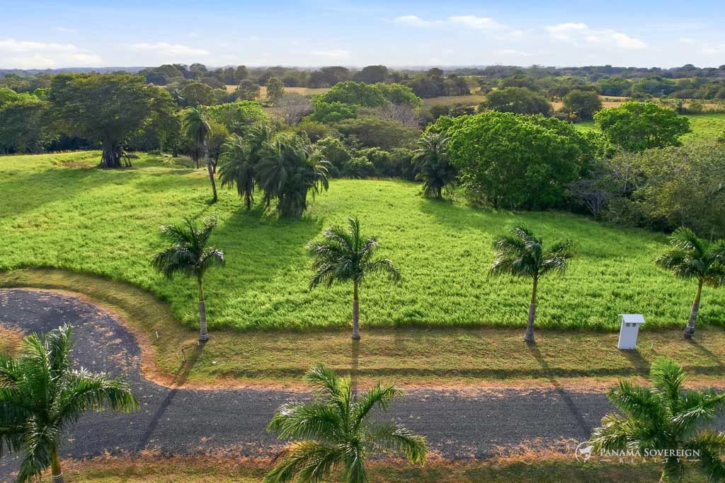 Land in Pedasi - photo 8
