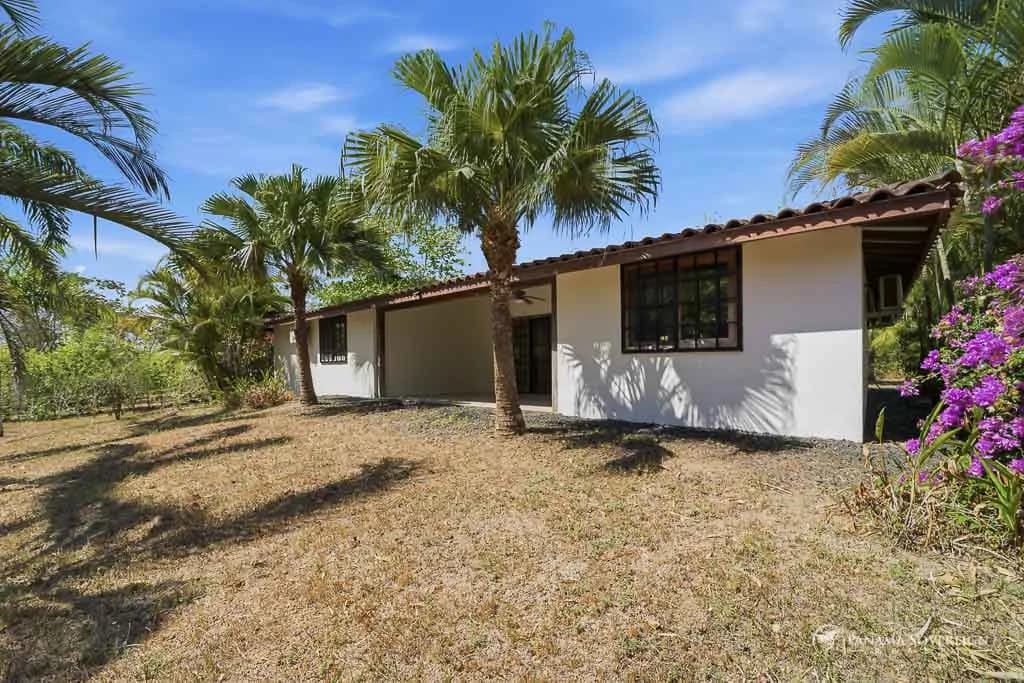 3 Bedroom House in Los Destiladeros - photo 29