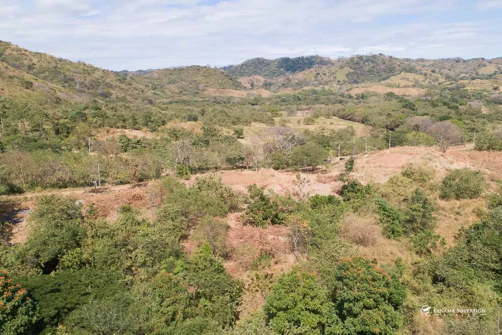 Land in Canas - photo 11