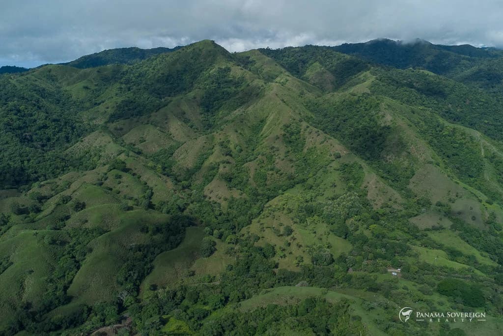 Land in Cambutal - photo 8