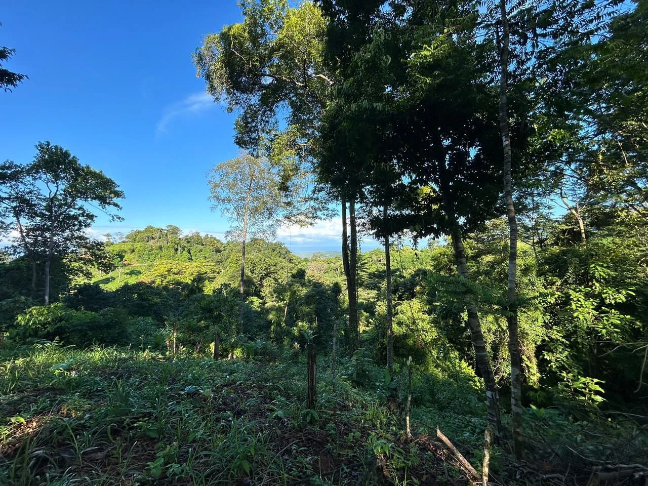 Marvelous Ocean View Parcel in Uvita. - photo 27