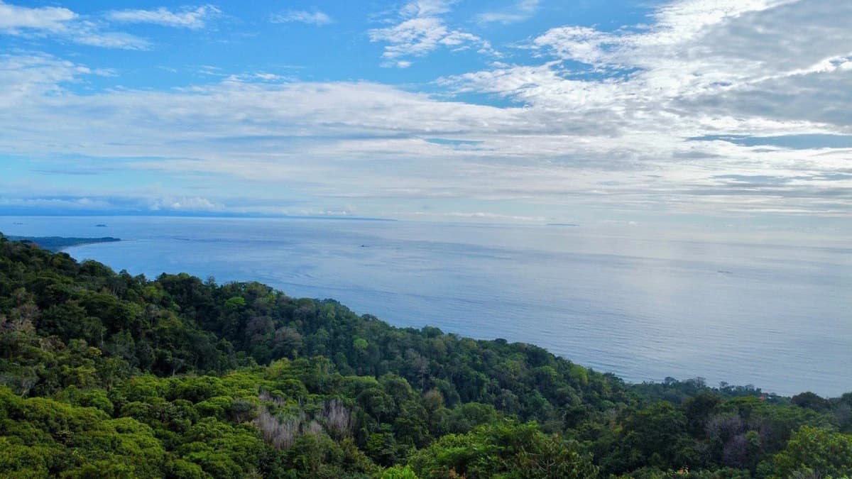 2 ACRES – 2 Bedroom Whales Tale Ocean View Home In Costa Verde Estates Gated Community!!!: 79 ACRES – Amazing Farm On Ridge Top With Whale’s Tail Ocean View And 800 Exotic Tropical Fruit Trees!!!!! - photo 51