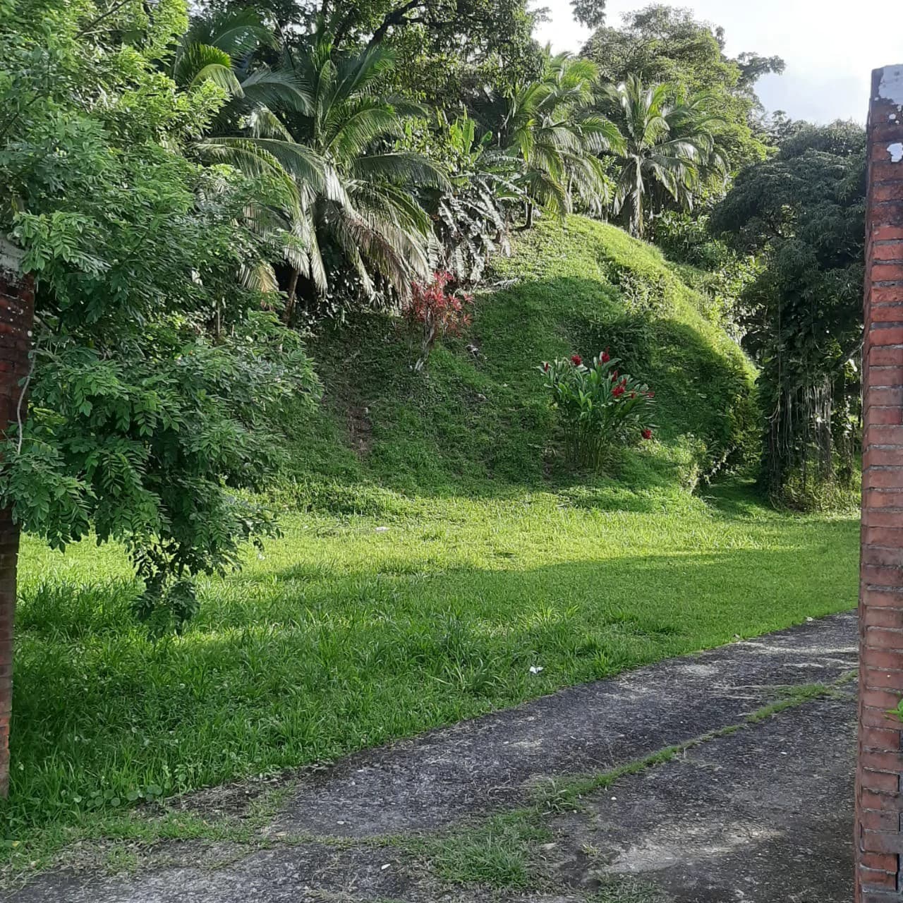 Coastline ocean view property - Ideal commercial, resort hotel - photo 4