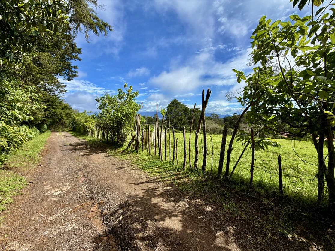 Central Valley Views - photo 10