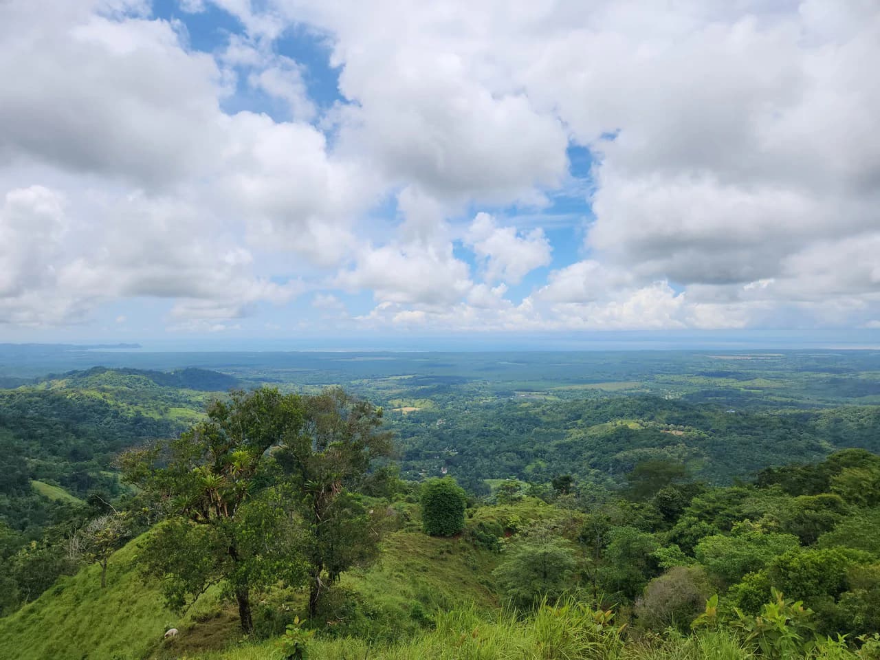 PRIME PARRITA FARM FOR SALE - photo 54