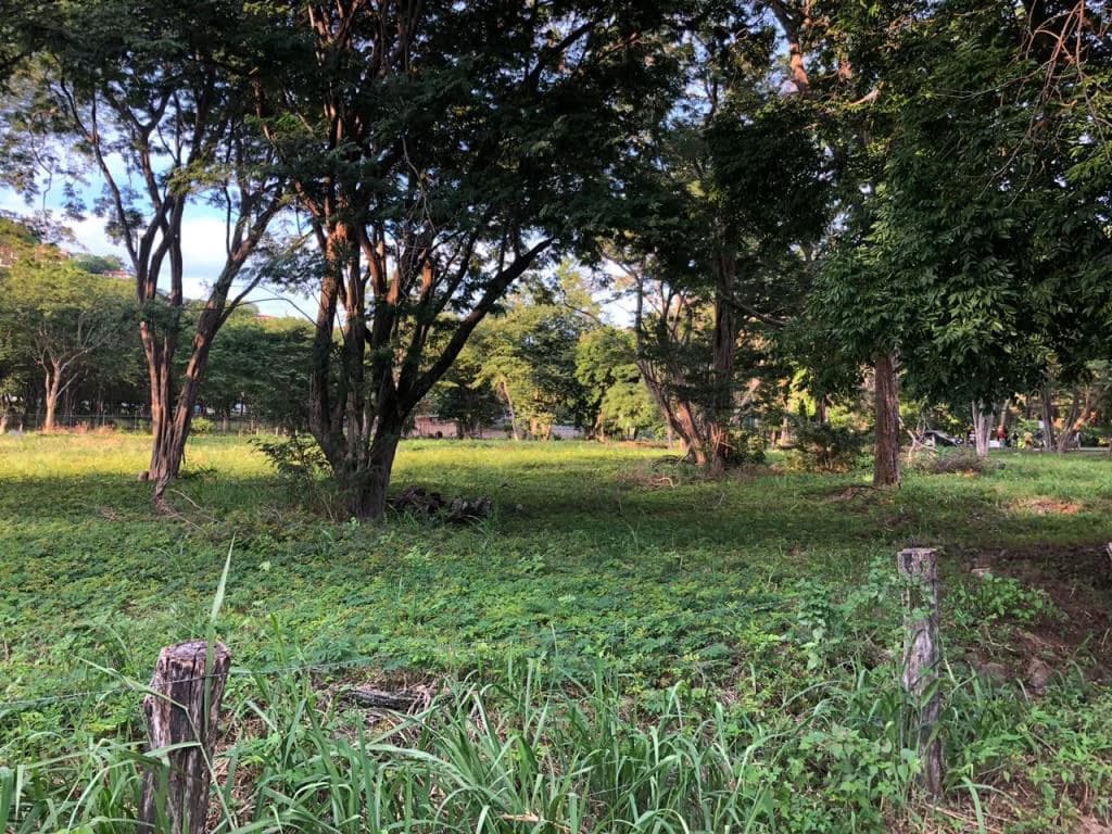 Large Commercial Property in Playa Hermosa, Guanacaste, Costa Rica - photo 3