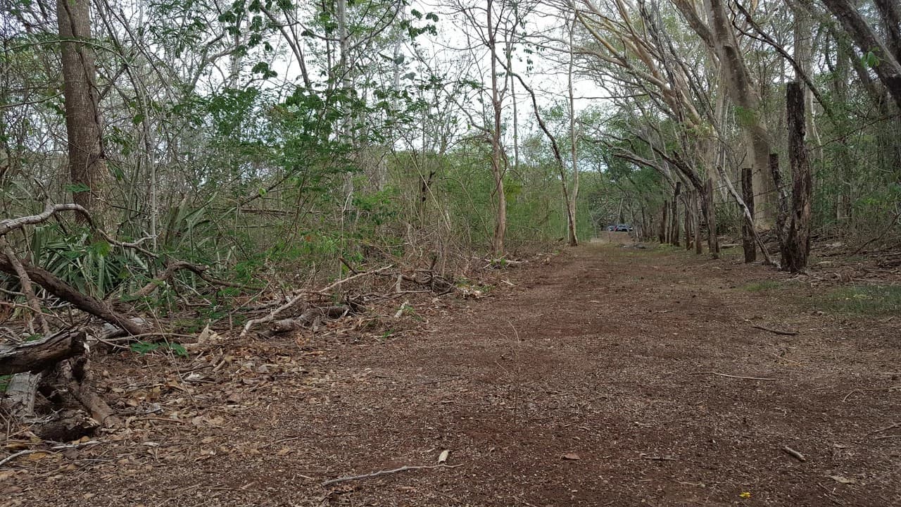 Large Commercial Development Property with Incredible Ocean Views in Playa Conchal, the Famous Gold Coast of Guanacaste - photo 7