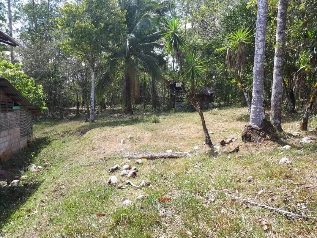 land for sale Alajuela San Carlos Pocosol Santa Maria Santa Rosa - photo 4