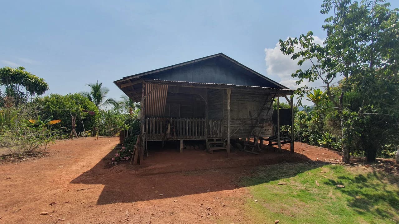 CONSERVATION AND DEVELOPMENT LAND WITH OCEAN VIEW IN SIERPE, COSTA RICA - photo 38