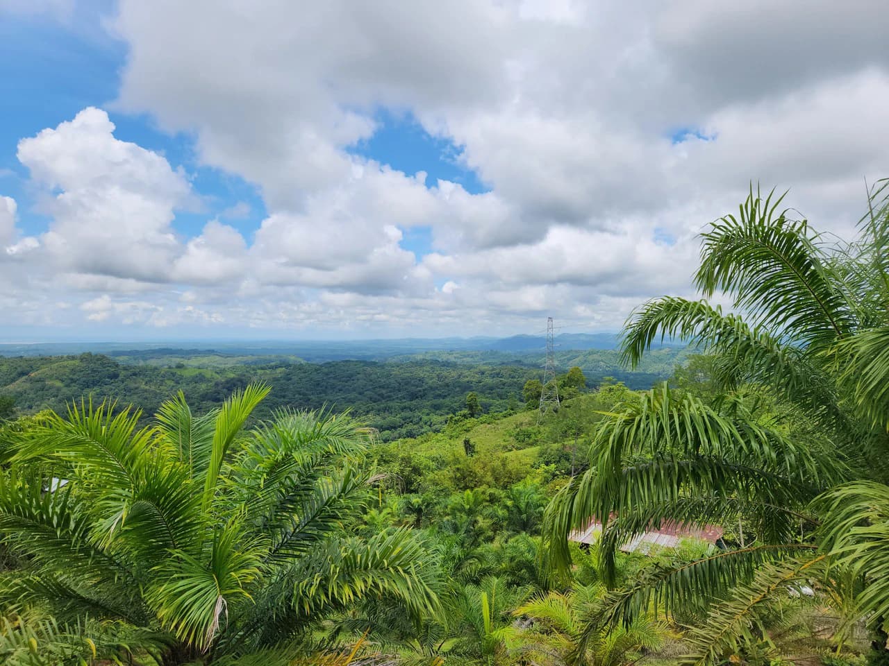 PRIME PARRITA FARM FOR SALE - photo 14