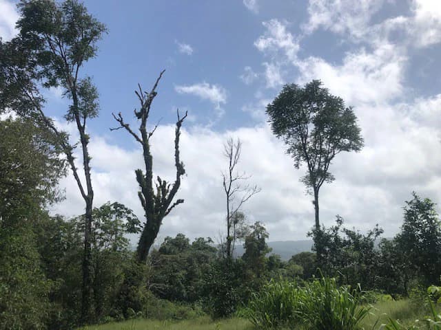 Hot and Cold Thermal Springs for Sale – Beautiful Property in Dos Ríos, Alajuela with Excellent Commercial Potential - photo 47
