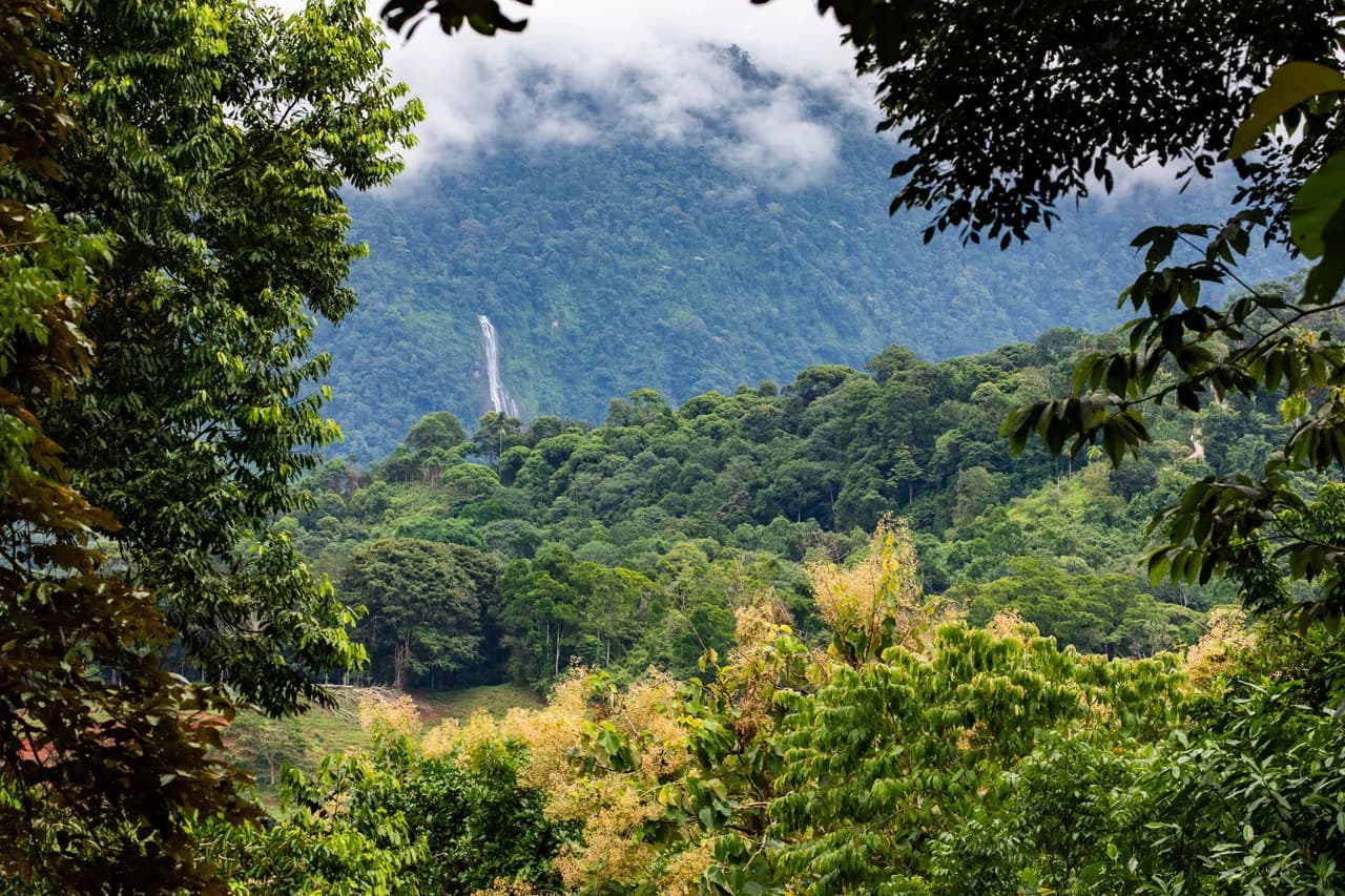 2.4 Acre Property In The Mountains Above Dominical with Waterfall Views - photo 7