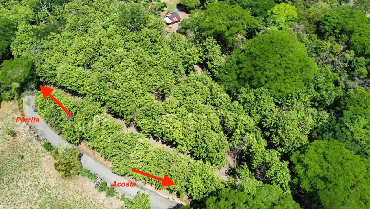 7-Hectare Farm with Teak Plantation, Existing Home & Eco-Development Potential Near Parrita, Costa Rica - photo 22
