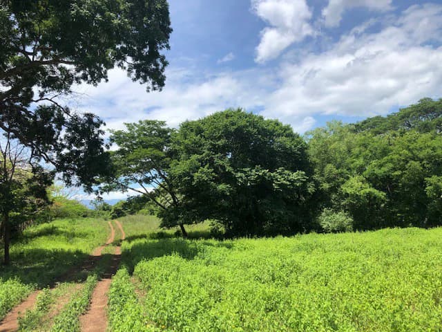 Amazing 50% discount for Huge ocean-view farm for sale surrounded by soft rolling hills and pristine nature - photo 12