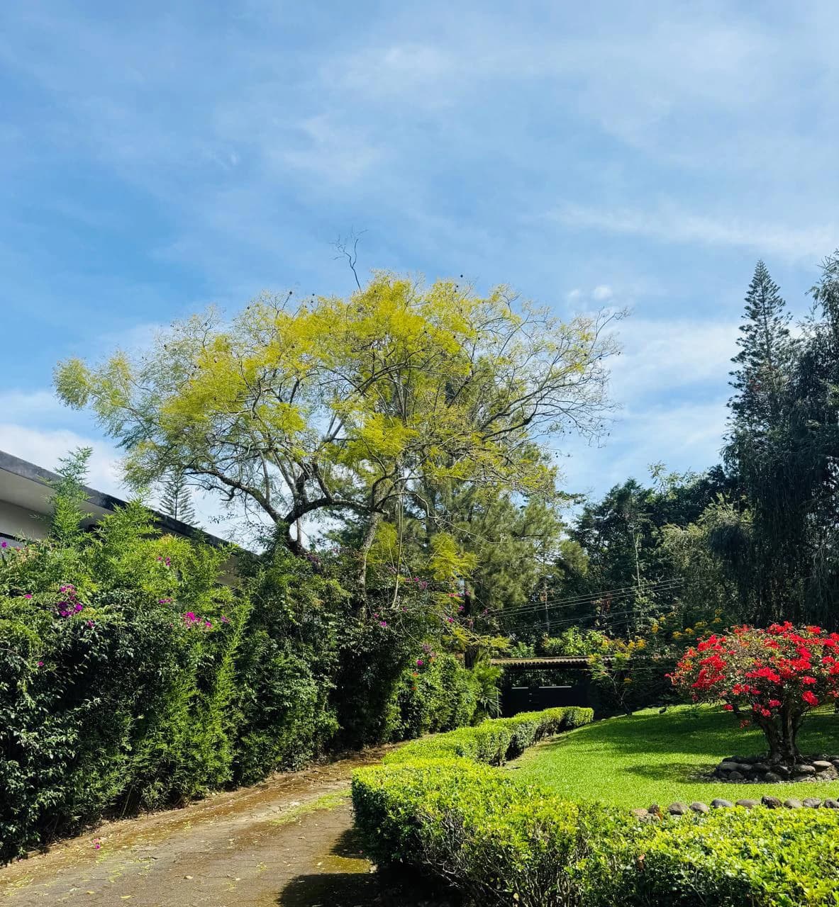 Land for Sale for Development in Escazú Costa Rica