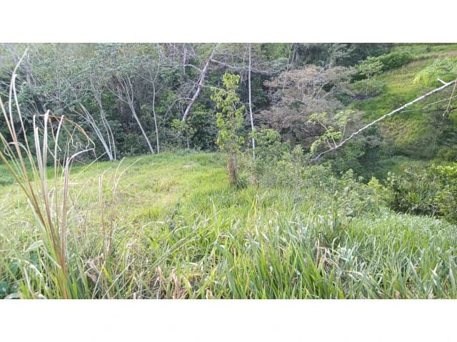 Exclusive lot for sale in Hojancha's green, tropical, rolling mountains, just 3 minutes from town - photo 2