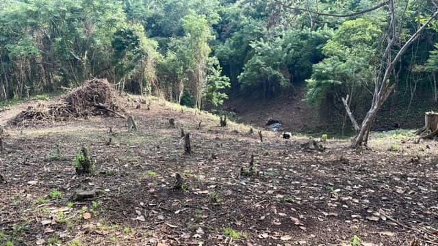 Beautiful Property for Sale in the Mountains of San Juanillo – Prime Land with Building Potential Just 10 Minutes from the Ocean - photo 19