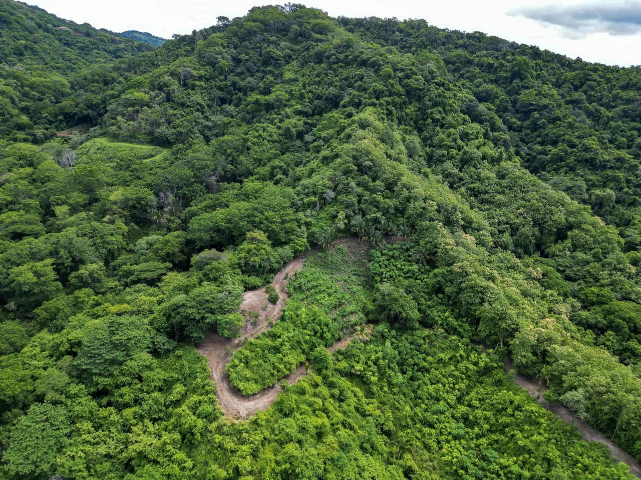 Finca Montana: 125 Acre Finca With Stunning Ocean Views - photo 2