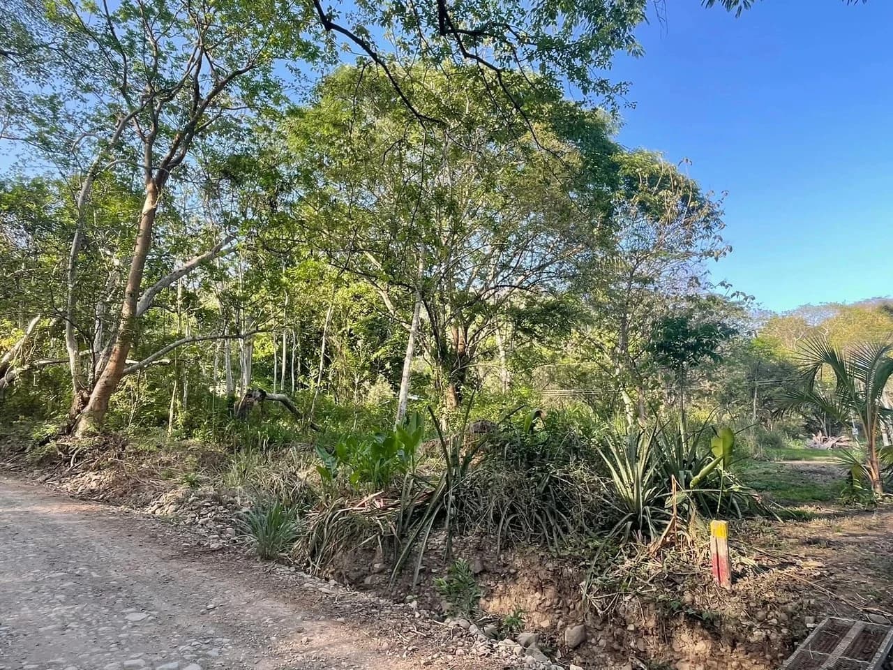 1,000 m² (0.25 acres) BEACHSIDE LOT. $75,000 USD Lot for Sale in Playa Órganos, Costa Rica - photo 3