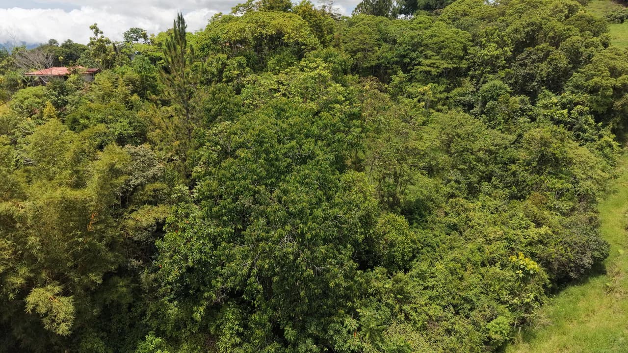 Mountain Home Construction Site For Sale in San Rafael Norte - photo 12