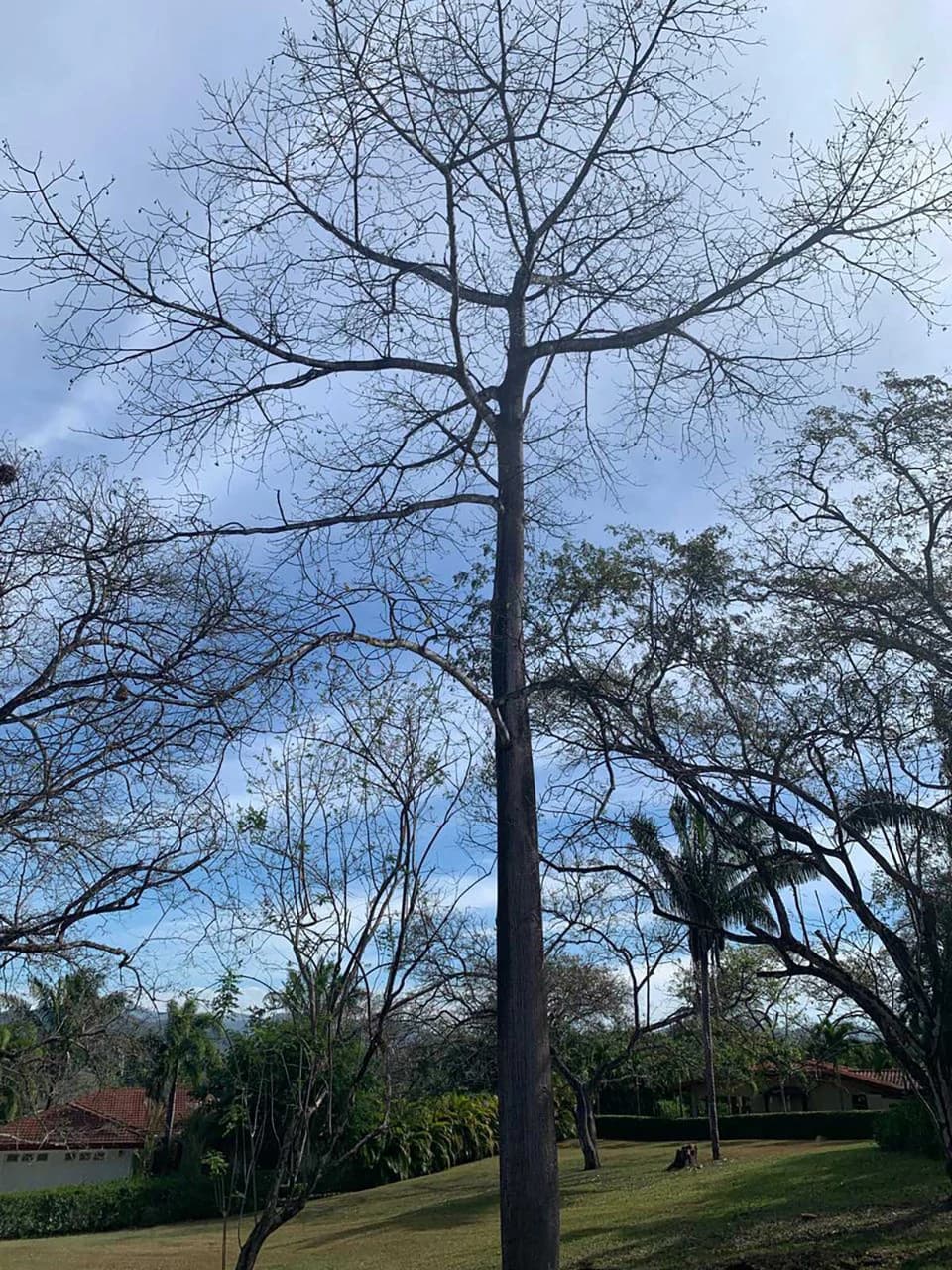 ID 4024: Ready to build in a Luxury Gated Community in PLAYA SAMARA - photo 2