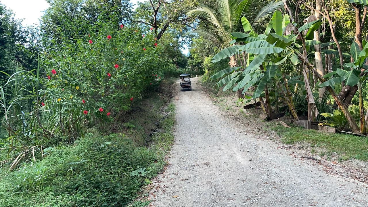 Luxury Ocean View Home for Sale with a private wood furniture factory in Nosara Beach - photo 2
