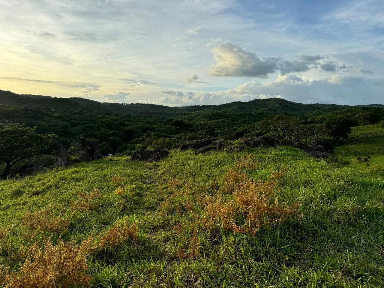 REDUCED! Natural beauty meets Tranquility!: 70,000m2 in Growing Geothermal Eco-Tourism area! - photo 12