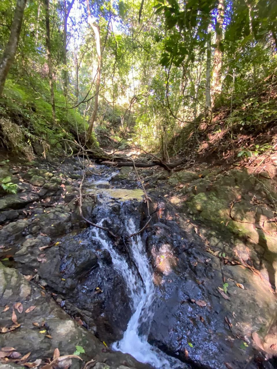 6000m2 Land Near Montezuma and Santa Teresa: ixed use, commercial and residential - photo 6