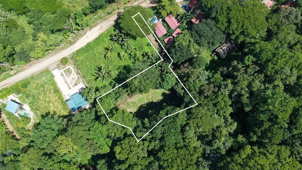 Lote Vista Montaña: Elevated Lot with Mountain and Jungle Views in Buena Vista, Just Minutes from Samara Beach