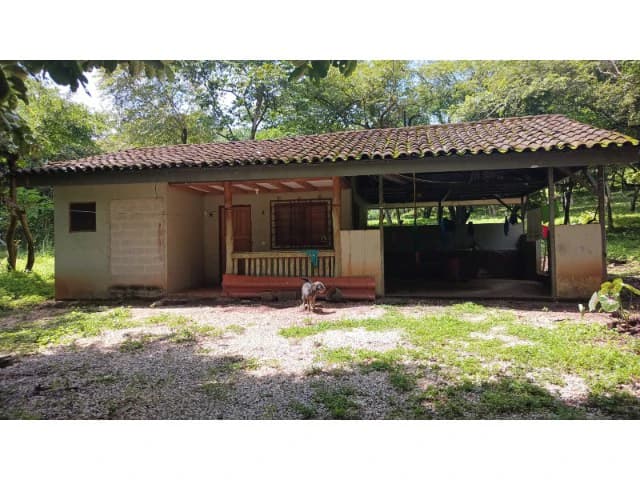 Dream Ranch for Sale with Houses and Horse Stable in Guanacaste – Great Investment Opportunity - photo 51