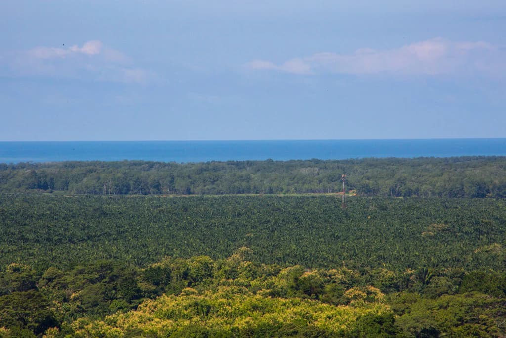 Casa Vista Hermosa: Nature refuge near Manuel Antonio National Park - photo 16