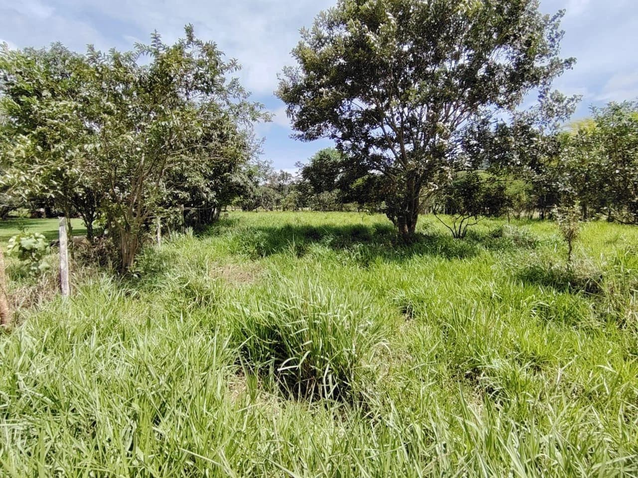 Se vende propiedad en el Rosario Pacuar, Pérez Zeledón.: Countryside Home Construction Site For Sale in Daniel Flores - photo 7