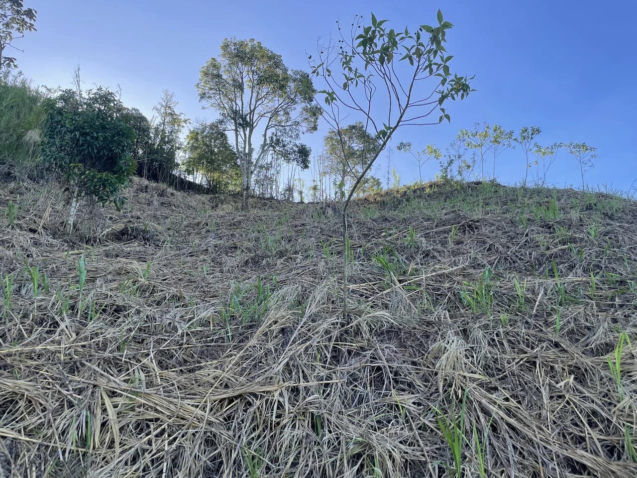 Eco-Lot #16: Ready-to-Build Sustainable Haven with Gulf & Mountain Views - photo 4