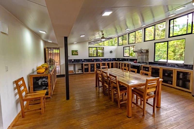 Casa San Pedrito: Beautiful house for sale in San Pedrito,(1,3hect) Perez Zeledon - photo 19
