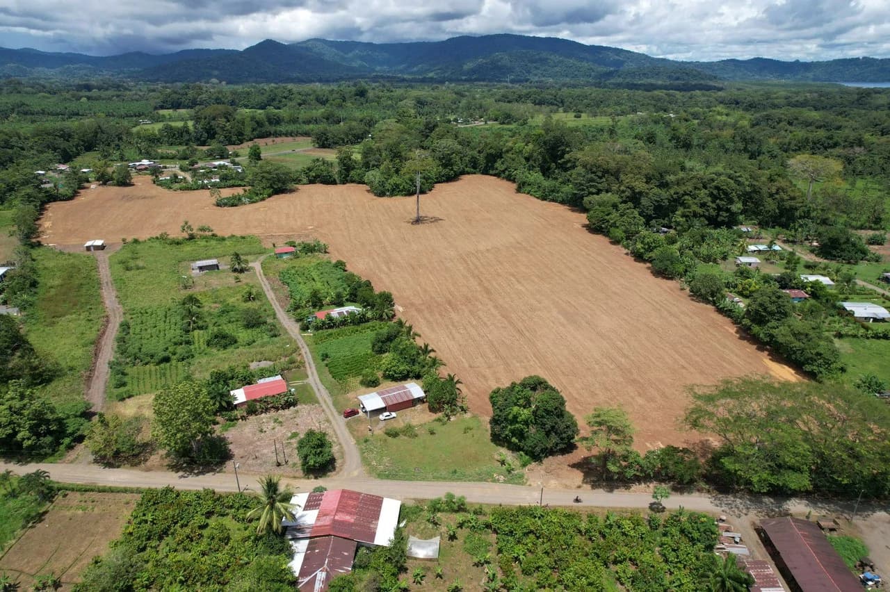 Finca La Palma, Puerto Jimenez: Excellent location ideal for development