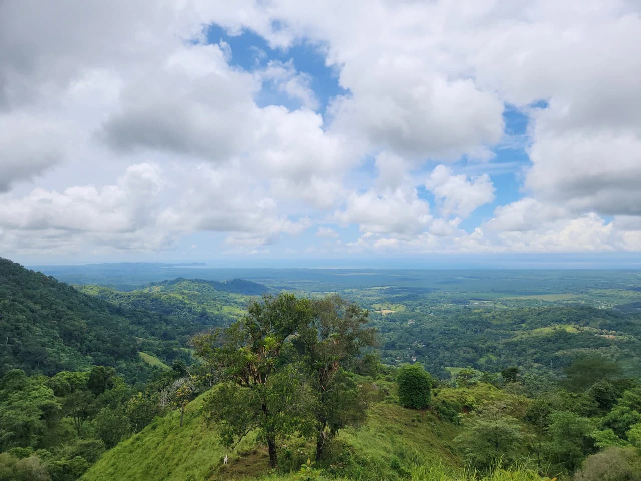 PRIME PARRITA FARM FOR SALE - photo 51