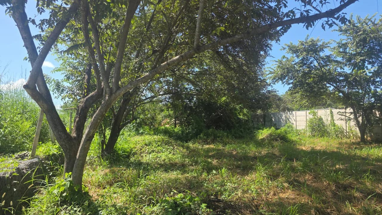 Commercial Airport property for sale with public road frontage on route #21, close to Liberia International Airport - photo 5