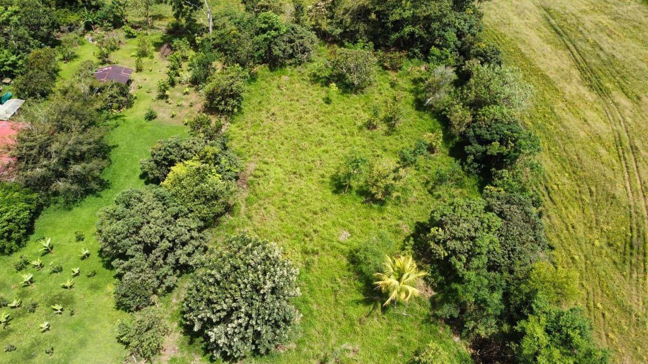 Se vende propiedad en el Rosario Pacuar, Pérez Zeledón.: Countryside Home Construction Site For Sale in Daniel Flores - photo 11
