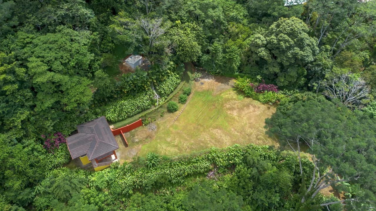 Build-Ready Ocean View Land with Guest House & Fruit Orchard | Tres Rios, Costa Rica - photo 17