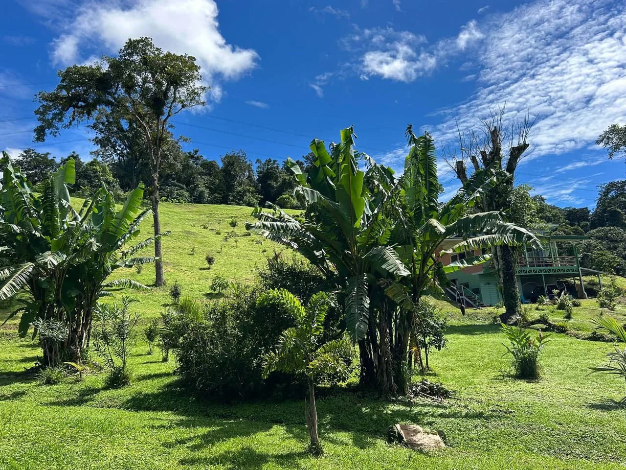 THE HOMESTEAD - Off-Grid Eco-Paradise for Sale in Nuevo Arenal, Costa Rica. - photo 1