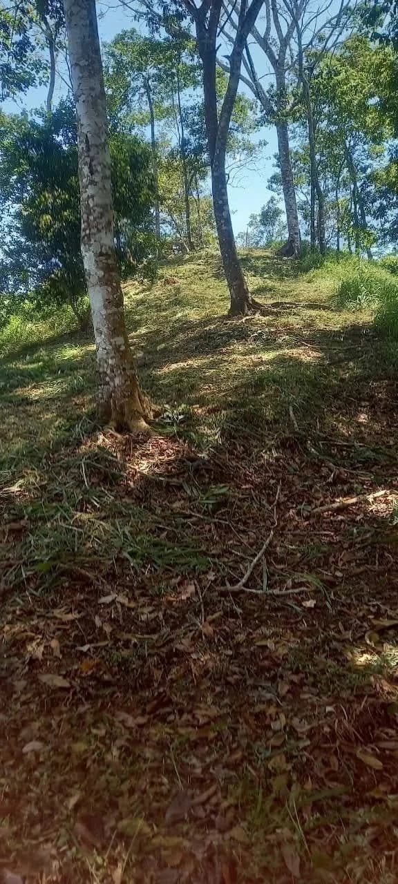 $2,200,000USD hectares: Ocean View Development Land for Sale in Tambor Costa Rica – 58 Hectares on the Nicoya Peninsula - photo 15