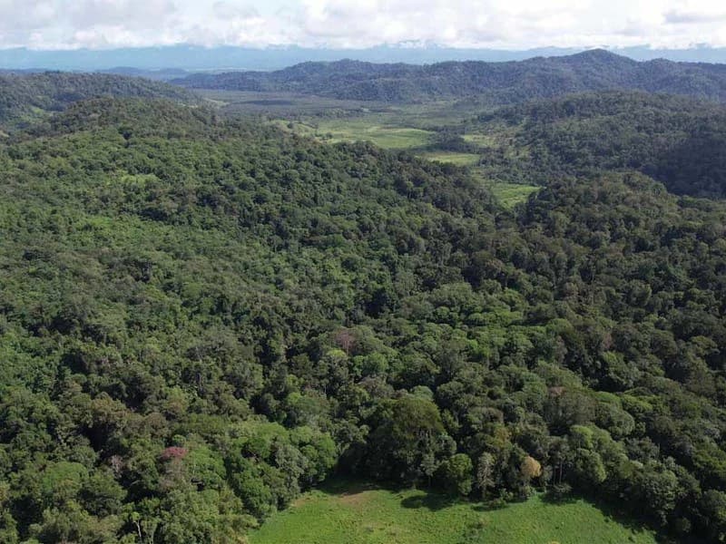 69.16 Acres Property | Mountain & Top Ocean View with Small Home - photo 7