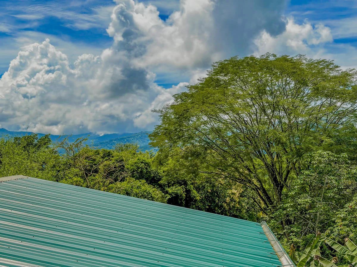 0.8 ACRES- 2 Bedrooms w/ Conversion Potential to 3 Bedrooms, 2 Full Bathrooms, Saltwater Pool, 8min to Dominical, and TWO 4×4 Vehicles Included!!! - photo 33