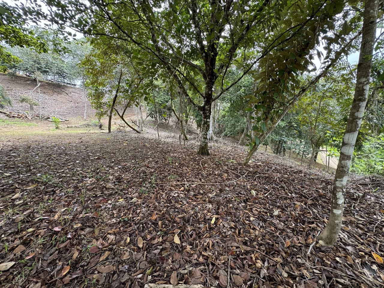 Diamante Waterfall View Land in Dominical 2.9 Acres - photo 26
