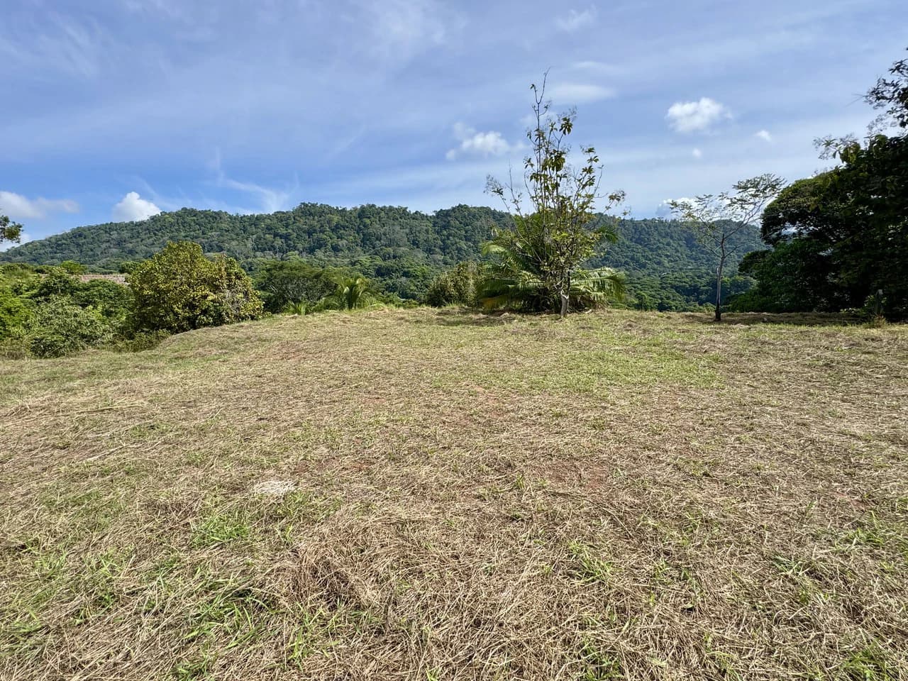 5.7 ACRES – The Best Ocean View Developement Property In Southern Costa Rica!!! - photo 8