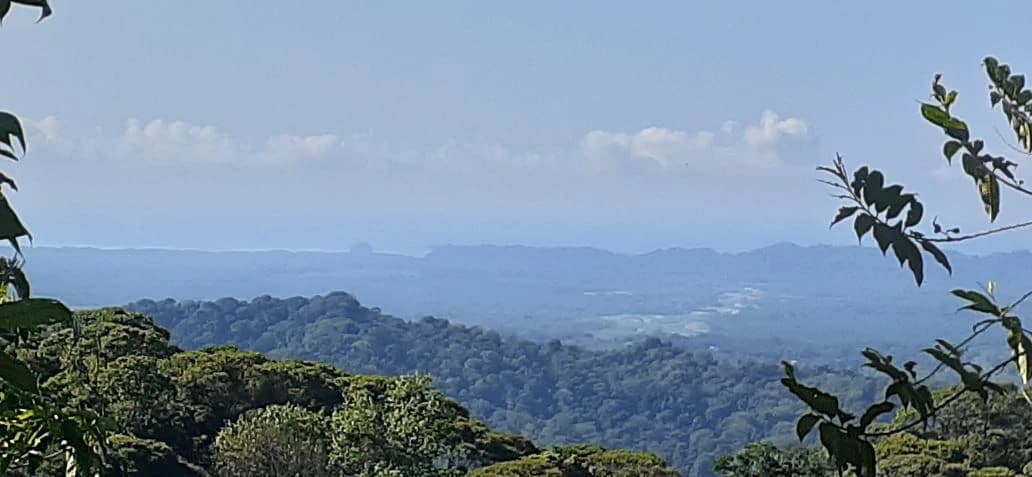 SECLUDED PARADISE WITH STUNNING VIEWS, WATERFALLS & ABUNDANT WILDLIFE - photo 4
